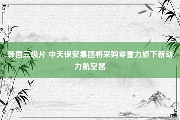 韩国三级片 中天保安集团将采购零重力旗下新动力航空器