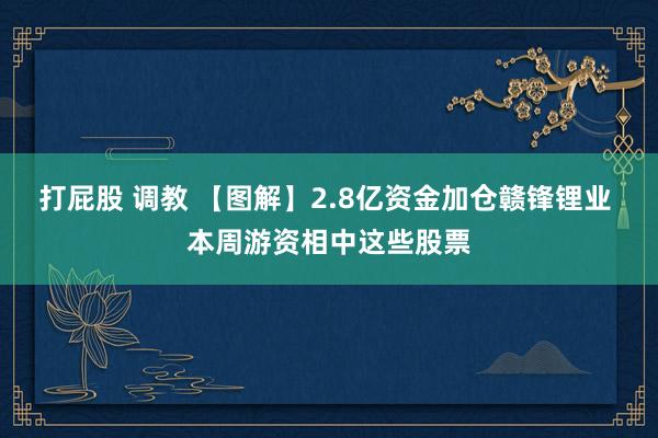 打屁股 调教 【图解】2.8亿资金加仓赣锋锂业 本周游资相中这些股票