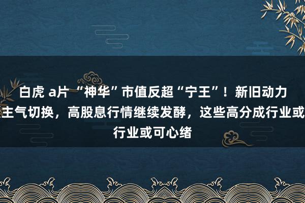 白虎 a片 “神华”市值反超“宁王”！新旧动力鼓动谈主气切换，高股息行情继续发酵，这些高分成行业或可心绪