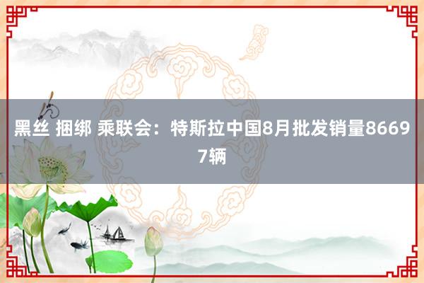 黑丝 捆绑 乘联会：特斯拉中国8月批发销量86697辆