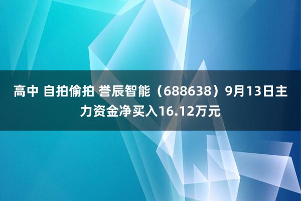 高中 自拍偷拍 誉辰智能（688638）9月13日主力资金净买入16.12万元