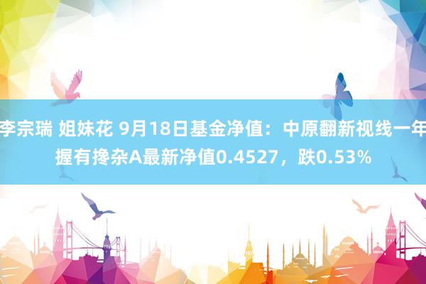 李宗瑞 姐妹花 9月18日基金净值：中原翻新视线一年握有搀杂A最新净值0.4527，跌0.53%