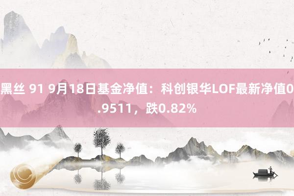 黑丝 91 9月18日基金净值：科创银华LOF最新净值0.9511，跌0.82%