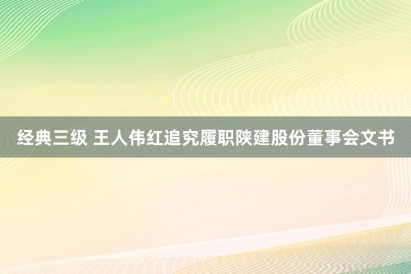 经典三级 王人伟红追究履职陕建股份董事会文书