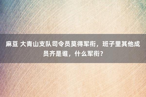 麻豆 大青山支队司令员莫得军衔，班子里其他成员齐是谁，什么军衔？