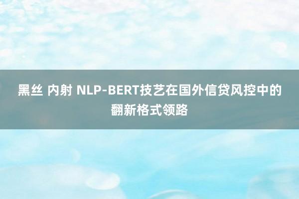 黑丝 内射 NLP-BERT技艺在国外信贷风控中的翻新格式领路