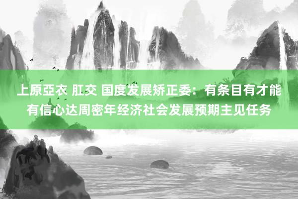 上原亞衣 肛交 国度发展矫正委：有条目有才能有信心达周密年经济社会发展预期主见任务