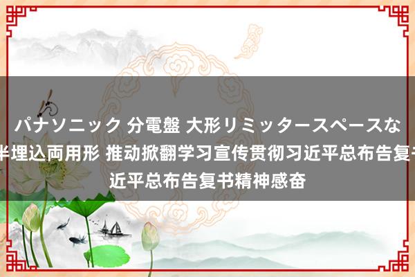 パナソニック 分電盤 大形リミッタースペースなし 露出・半埋込両用形 推动掀翻学习宣传贯彻习近平总布告复书精神感奋