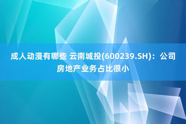 成人动漫有哪些 云南城投(600239.SH)：公司房地产业务占比很小