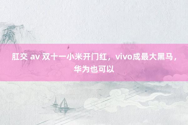 肛交 av 双十一小米开门红，vivo成最大黑马，华为也可以