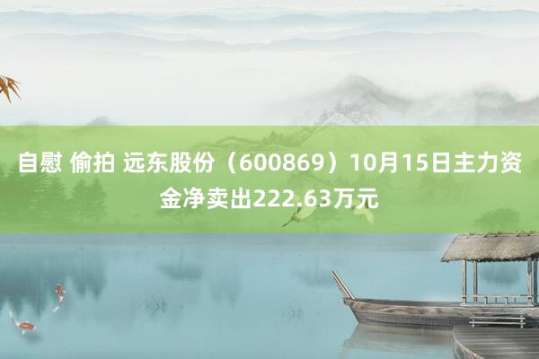 自慰 偷拍 远东股份（600869）10月15日主力资金净卖出222.63万元