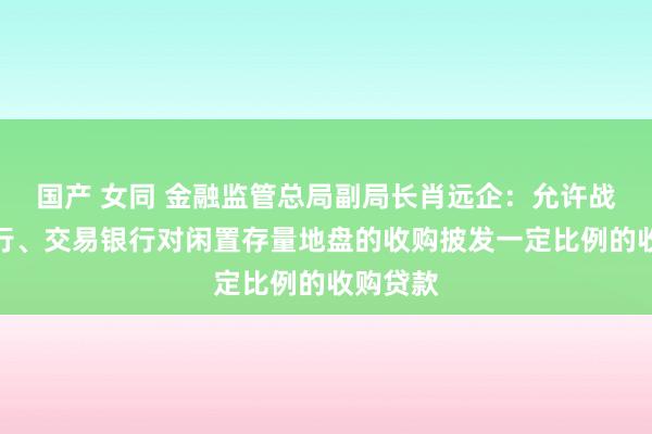 国产 女同 金融监管总局副局长肖远企：允许战术性银行、交易银行对闲置存量地盘的收购披发一定比例的收购贷款