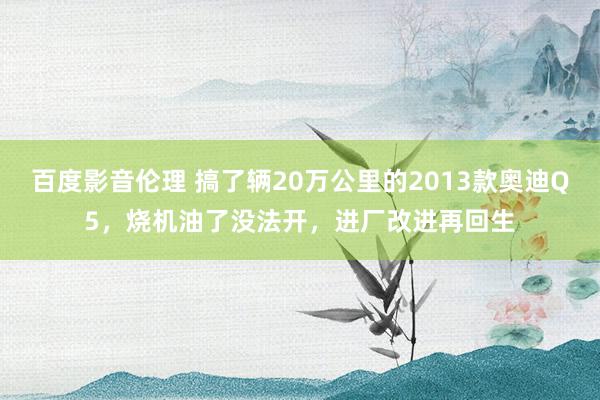 百度影音伦理 搞了辆20万公里的2013款奥迪Q5，烧机油了没法开，进厂改进再回生