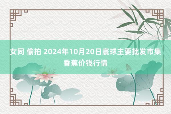 女同 偷拍 2024年10月20日寰球主要批发市集香蕉价钱行情