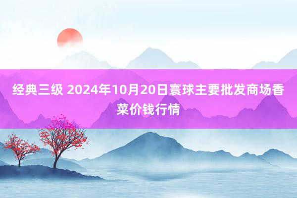 经典三级 2024年10月20日寰球主要批发商场香菜价钱行情