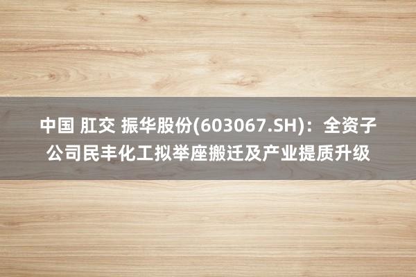 中国 肛交 振华股份(603067.SH)：全资子公司民丰化工拟举座搬迁及产业提质升级