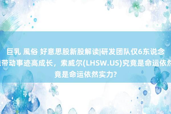 巨乳 風俗 好意思股新股解读|研发团队仅6东说念主也能带动事迹高成长，索威尔(LHSW.US)究竟是命运依然实力?