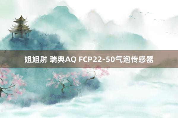 姐姐射 瑞典AQ FCP22-50气泡传感器