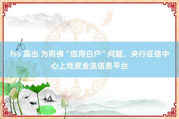 fss 露出 为照拂“信用白户”问题，央行征信中心上线资金流信息平台