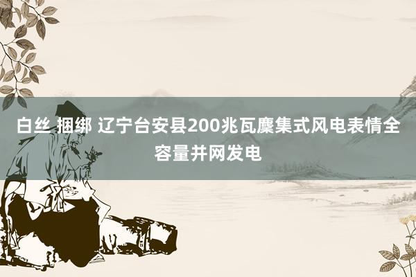 白丝 捆绑 辽宁台安县200兆瓦麇集式风电表情全容量并网发电