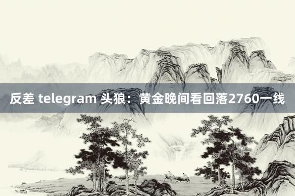 反差 telegram 头狼：黄金晚间看回落2760一线