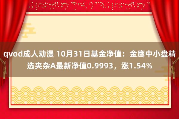 qvod成人动漫 10月31日基金净值：金鹰中小盘精选夹杂A最新净值0.9993，涨1.54%