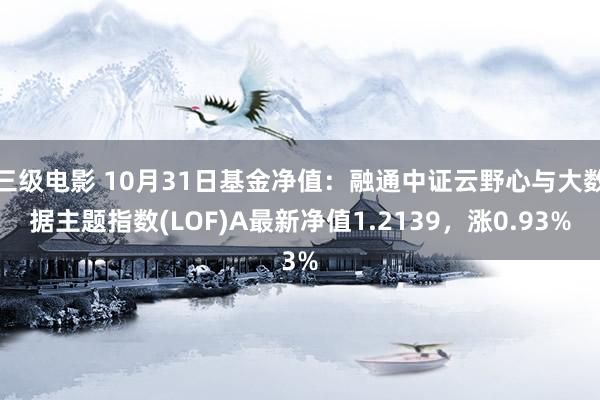 三级电影 10月31日基金净值：融通中证云野心与大数据主题指数(LOF)A最新净值1.2139，涨0.93%