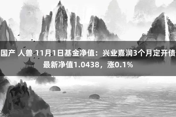 国产 人兽 11月1日基金净值：兴业嘉润3个月定开债最新净值1.0438，涨0.1%