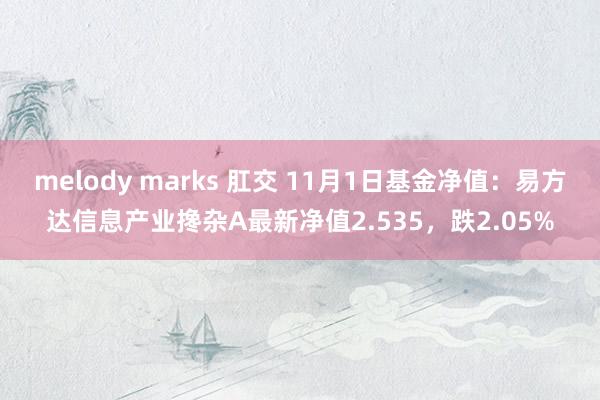 melody marks 肛交 11月1日基金净值：易方达信息产业搀杂A最新净值2.535，跌2.05%