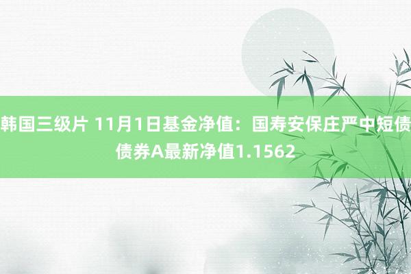 韩国三级片 11月1日基金净值：国寿安保庄严中短债债券A最新净值1.1562