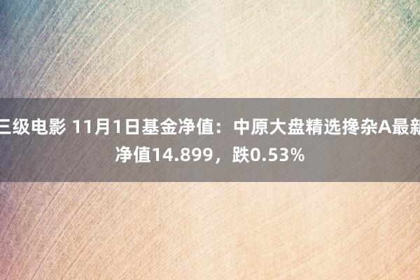 三级电影 11月1日基金净值：中原大盘精选搀杂A最新净值14.899，跌0.53%