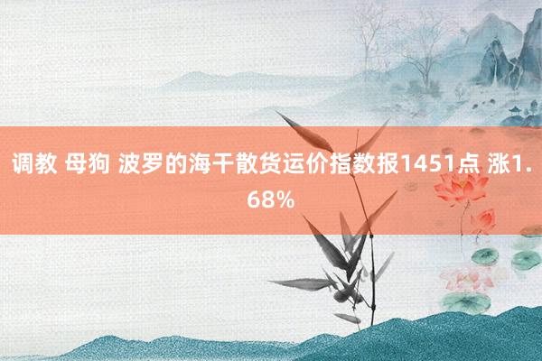 调教 母狗 波罗的海干散货运价指数报1451点 涨1.68%