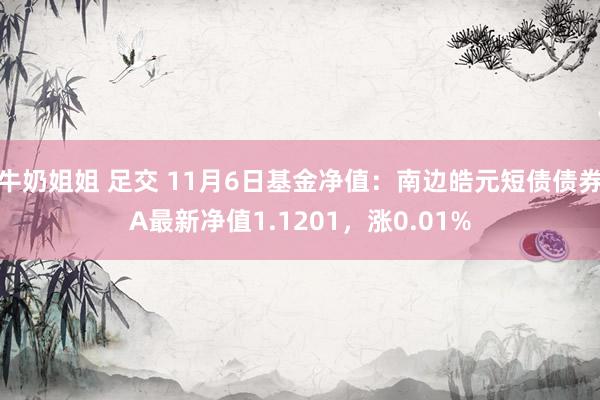 牛奶姐姐 足交 11月6日基金净值：南边皓元短债债券A最新净值1.1201，涨0.01%