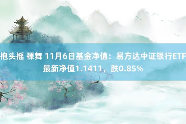 抱头摇 裸舞 11月6日基金净值：易方达中证银行ETF最新净值1.1411，跌0.85%