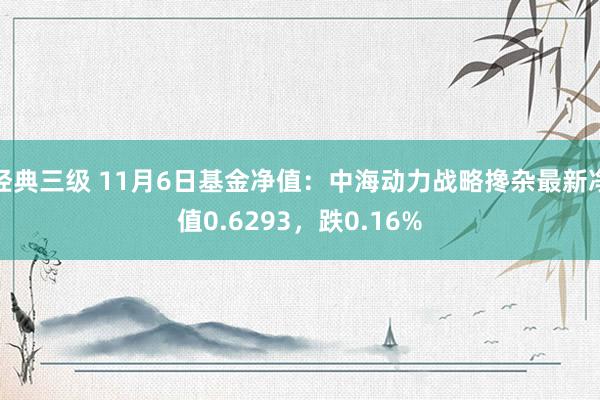 经典三级 11月6日基金净值：中海动力战略搀杂最新净值0.6293，跌0.16%