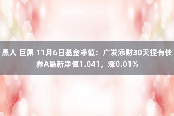 黑人 巨屌 11月6日基金净值：广发添财30天捏有债券A最新净值1.041，涨0.01%