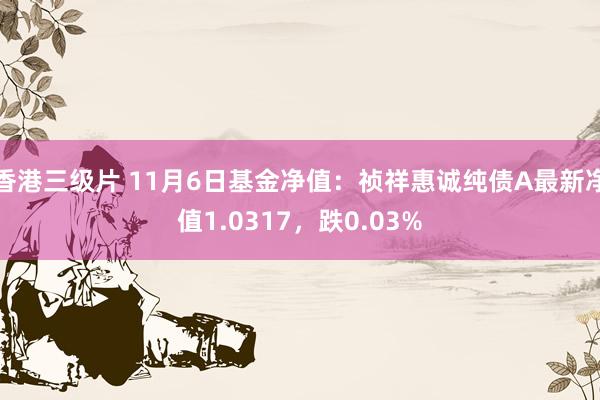 香港三级片 11月6日基金净值：祯祥惠诚纯债A最新净值1.0317，跌0.03%