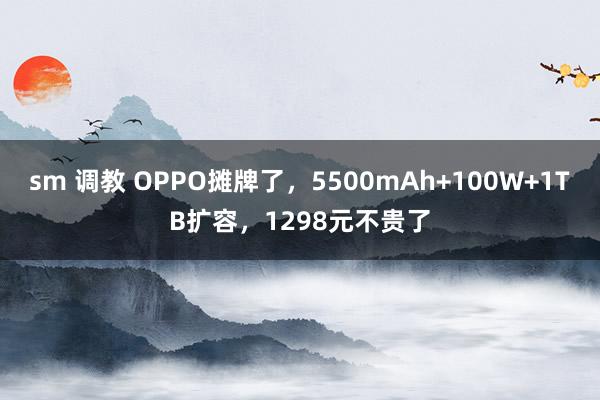 sm 调教 OPPO摊牌了，5500mAh+100W+1TB扩容，1298元不贵了