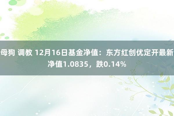 母狗 调教 12月16日基金净值：东方红创优定开最新净值1.0835，跌0.14%