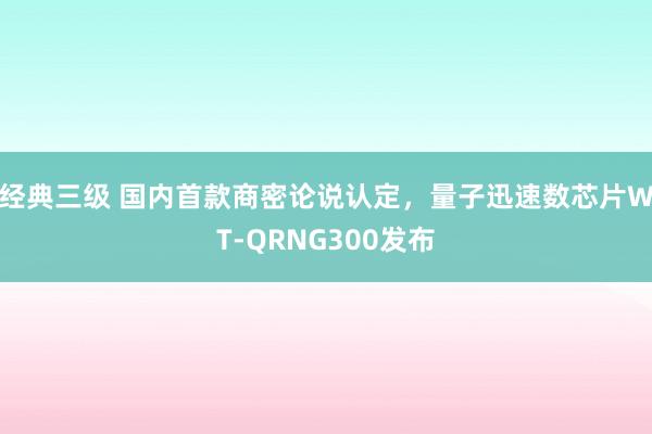 经典三级 国内首款商密论说认定，量子迅速数芯片WT-QRNG300发布