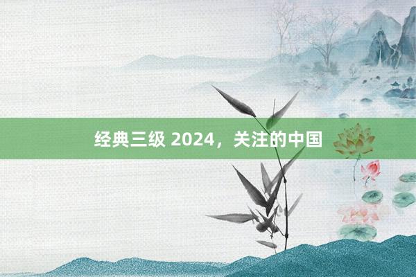 经典三级 2024，关注的中国