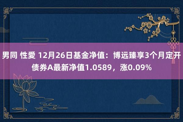 男同 性愛 12月26日基金净值：博远臻享3个月定开债券A最新净值1.0589，涨0.09%