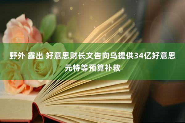 野外 露出 好意思财长文告向乌提供34亿好意思元特等预算补救