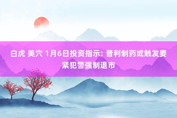 白虎 美穴 1月6日投资指示: 普利制药或触发要紧犯警强制退市