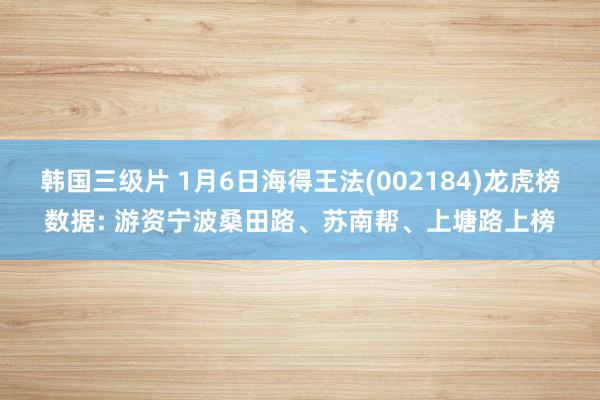 韩国三级片 1月6日海得王法(002184)龙虎榜数据: 游资宁波桑田路、苏南帮、上塘路上榜