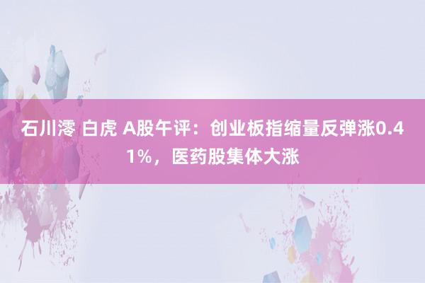 石川澪 白虎 A股午评：创业板指缩量反弹涨0.41%，医药股集体大涨