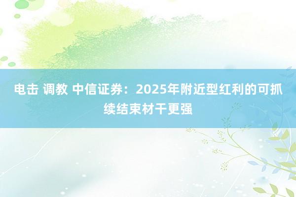 电击 调教 中信证券：2025年附近型红利的可抓续结束材干更强