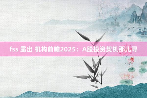 fss 露出 机构前瞻2025：A股投资契机那儿寻