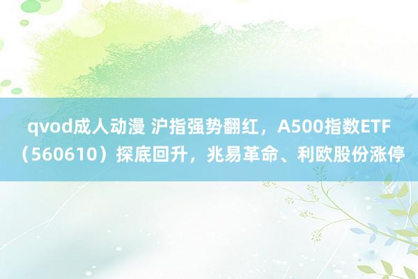 qvod成人动漫 沪指强势翻红，A500指数ETF（560610）探底回升，兆易革命、利欧股份涨停