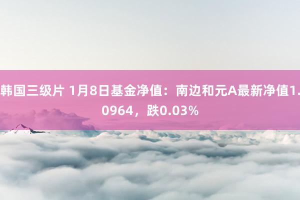 韩国三级片 1月8日基金净值：南边和元A最新净值1.0964，跌0.03%